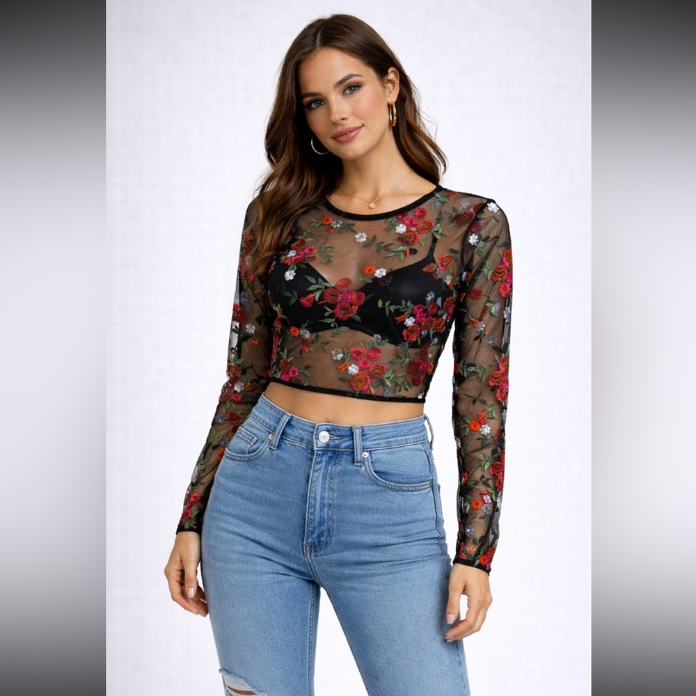 Nwot gorgeous anthropology embroidered top